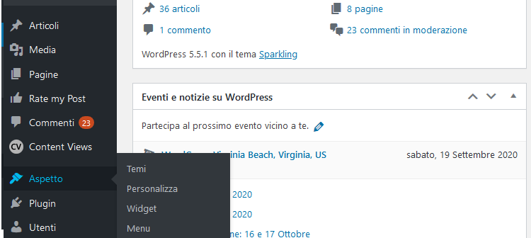 Gestione aspetto WordPress Gestione aspetto WordPress
